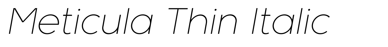 Meticula Thin Italic